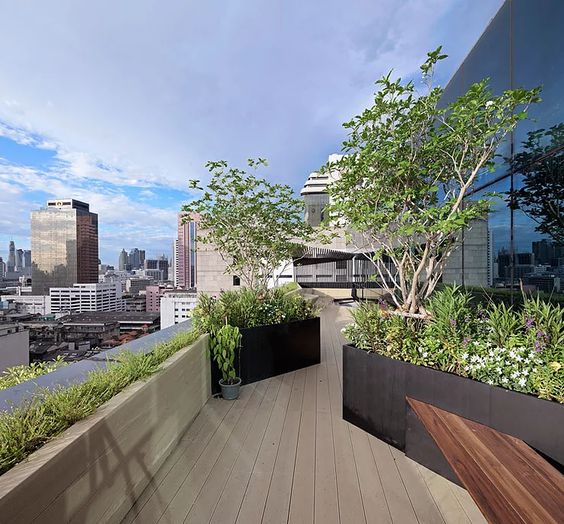 Sân thượng cảnh quan