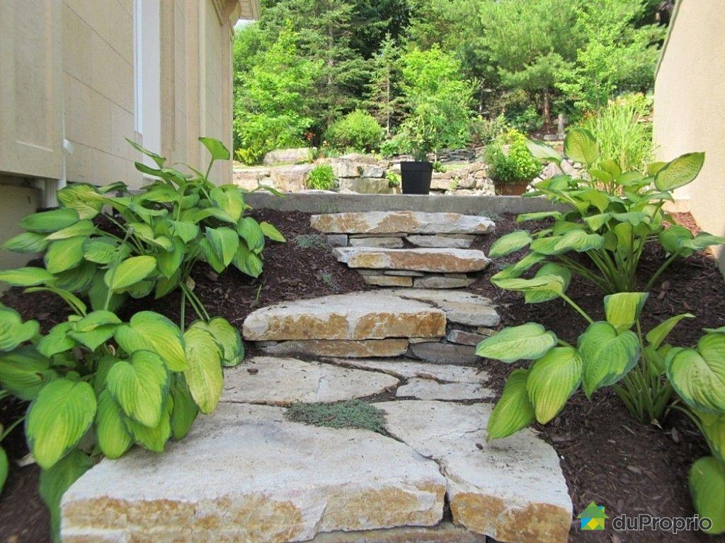 Tam cấp sân vườn